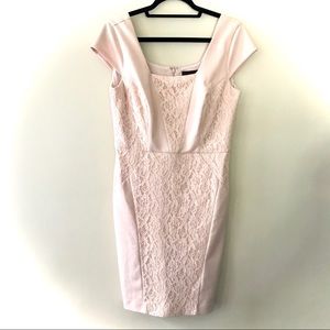 The Limited Cap Sleeve Pale Pink Lace Sheath Dress